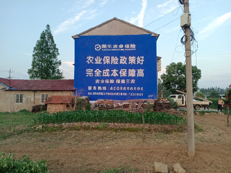 海安墙体广告的优劣势你知道吗？