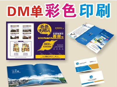 海安单页印刷，色彩搭配简单。